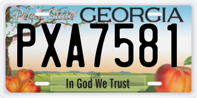 GA license plate PXA7581