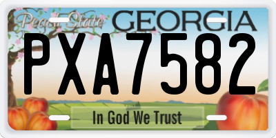 GA license plate PXA7582