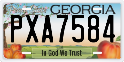 GA license plate PXA7584