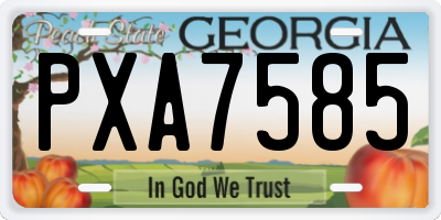 GA license plate PXA7585