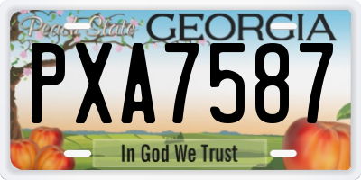 GA license plate PXA7587