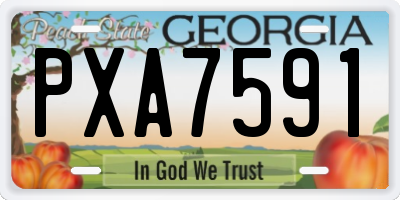 GA license plate PXA7591