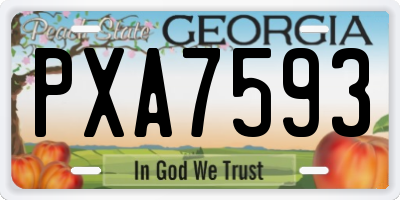 GA license plate PXA7593