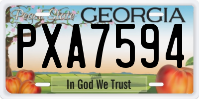 GA license plate PXA7594