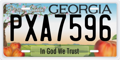 GA license plate PXA7596