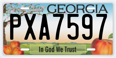 GA license plate PXA7597