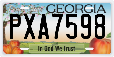 GA license plate PXA7598