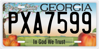 GA license plate PXA7599