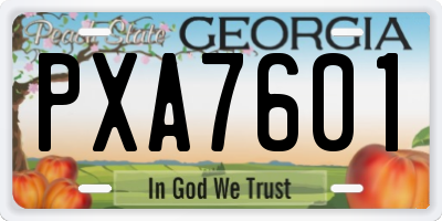 GA license plate PXA7601