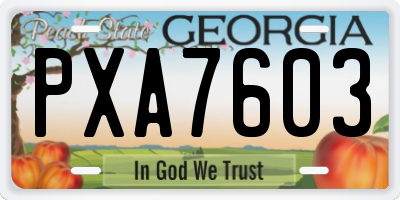 GA license plate PXA7603