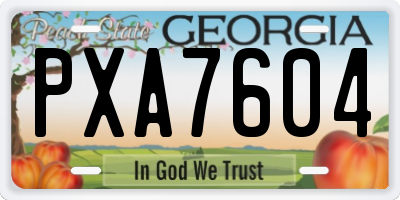 GA license plate PXA7604