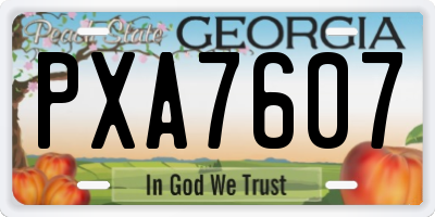 GA license plate PXA7607