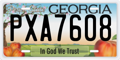 GA license plate PXA7608
