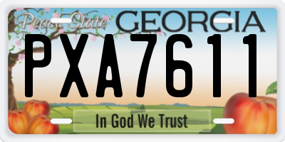 GA license plate PXA7611