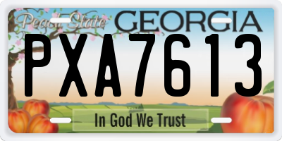 GA license plate PXA7613