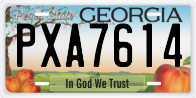 GA license plate PXA7614