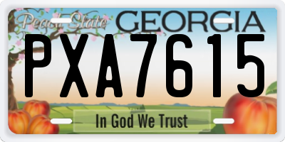 GA license plate PXA7615