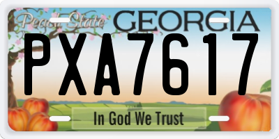 GA license plate PXA7617