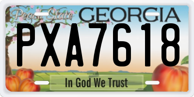 GA license plate PXA7618