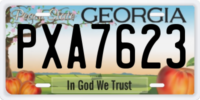 GA license plate PXA7623