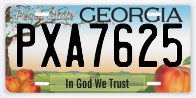 GA license plate PXA7625