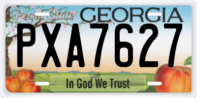 GA license plate PXA7627