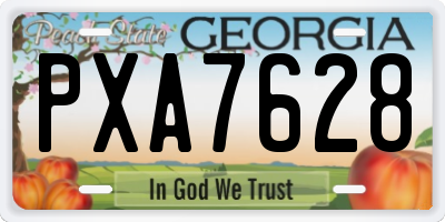 GA license plate PXA7628