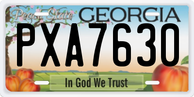 GA license plate PXA7630