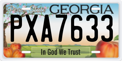 GA license plate PXA7633