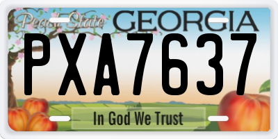 GA license plate PXA7637