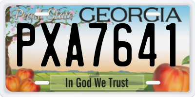 GA license plate PXA7641