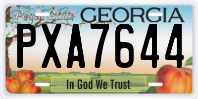 GA license plate PXA7644