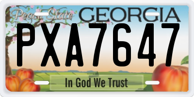 GA license plate PXA7647