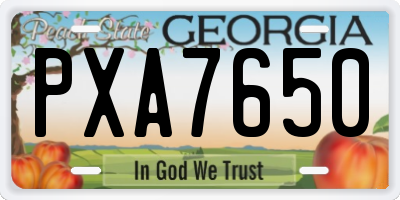 GA license plate PXA7650