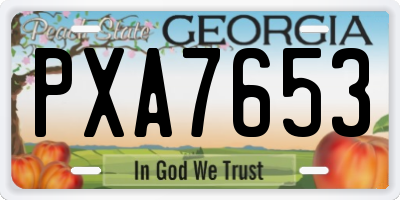 GA license plate PXA7653