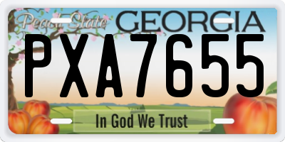 GA license plate PXA7655