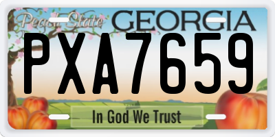 GA license plate PXA7659