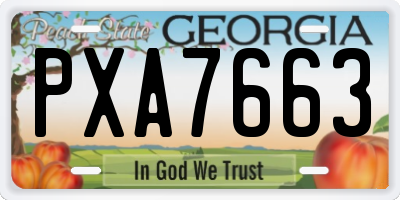 GA license plate PXA7663