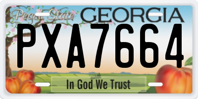 GA license plate PXA7664