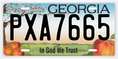 GA license plate PXA7665