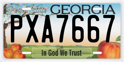 GA license plate PXA7667