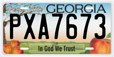 GA license plate PXA7673