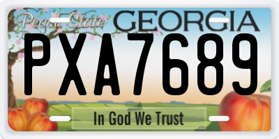 GA license plate PXA7689