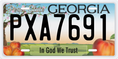 GA license plate PXA7691