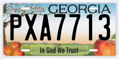 GA license plate PXA7713