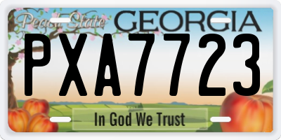 GA license plate PXA7723