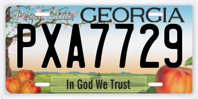 GA license plate PXA7729