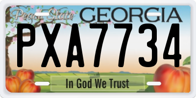 GA license plate PXA7734