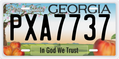 GA license plate PXA7737