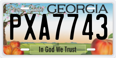 GA license plate PXA7743